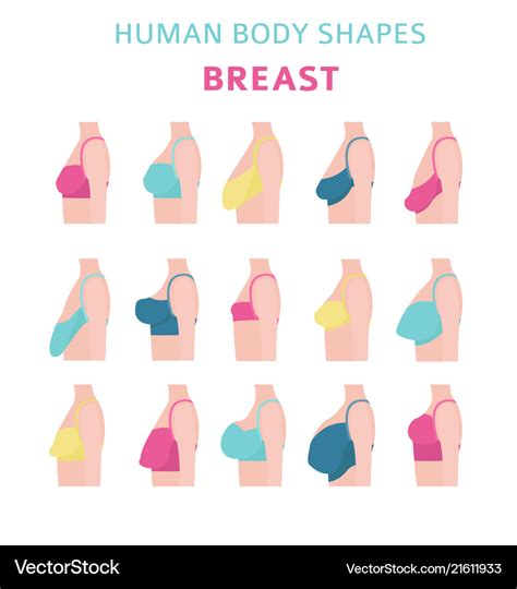 perky breasts meaning|The 10 Types of Boobs — Heres What to Know, According to Ob。